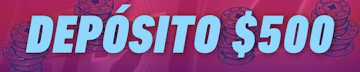 Deposito 500 divider