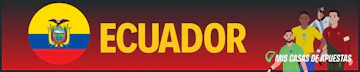 Ecuador Mundial New Banners Peru 7