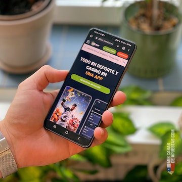 20 Bet app en celular