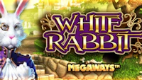 White Rabbits Megaways